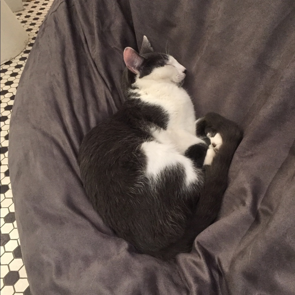 Meet your Posher, Alice